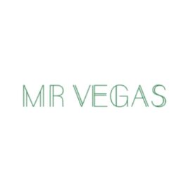 Mr Vegas