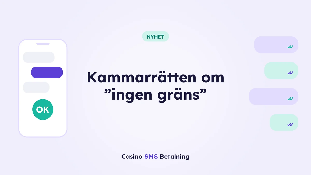 Kammarrätten om ”ingen gräns”